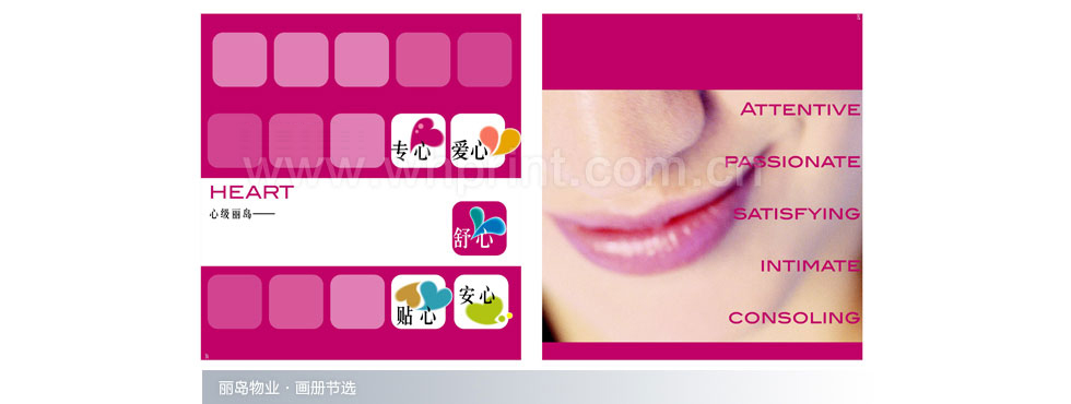 丽岛物业画册印刷